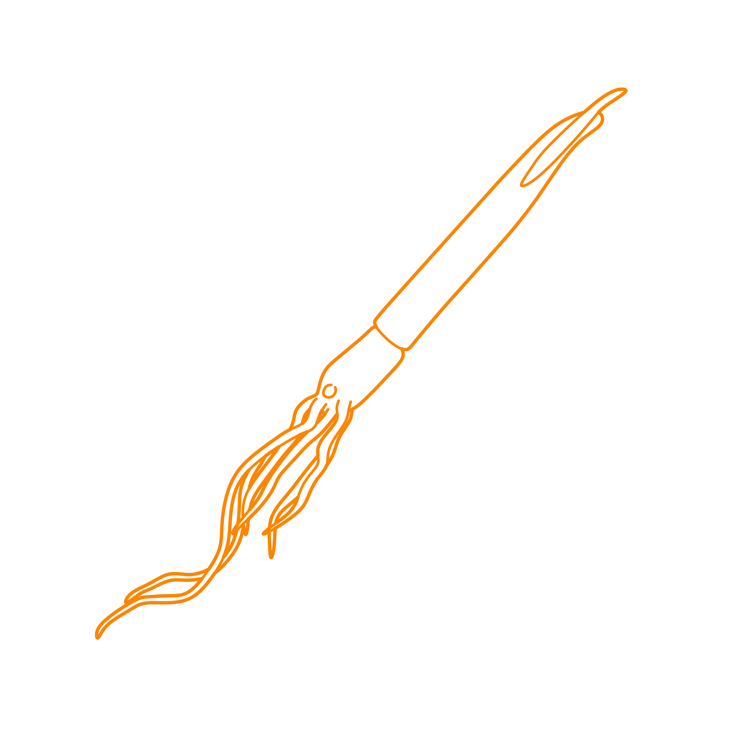 Animals Cephalopods Humboldt Squid Outline Drawing Svg Vector Free Vectors